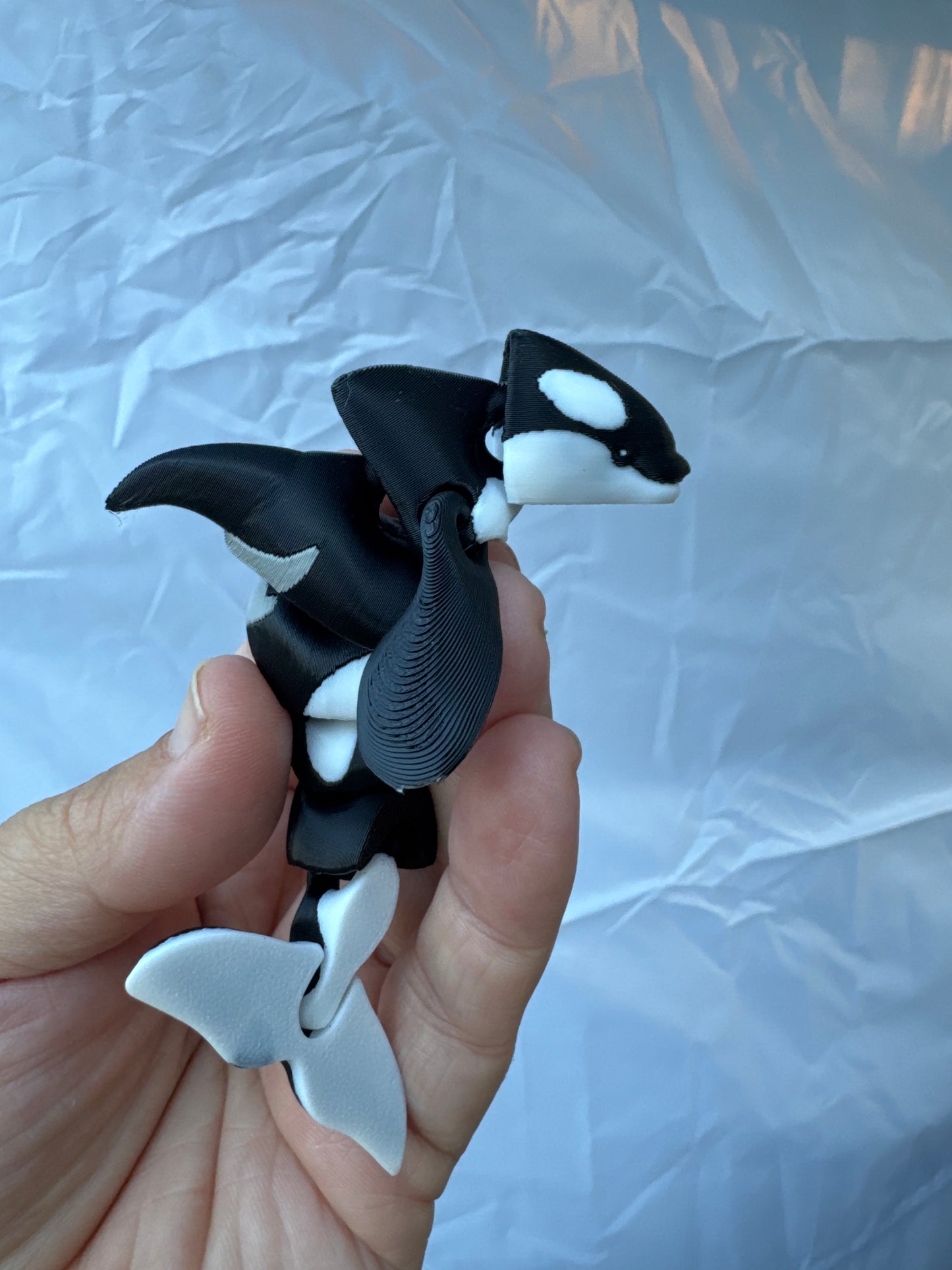 Orca