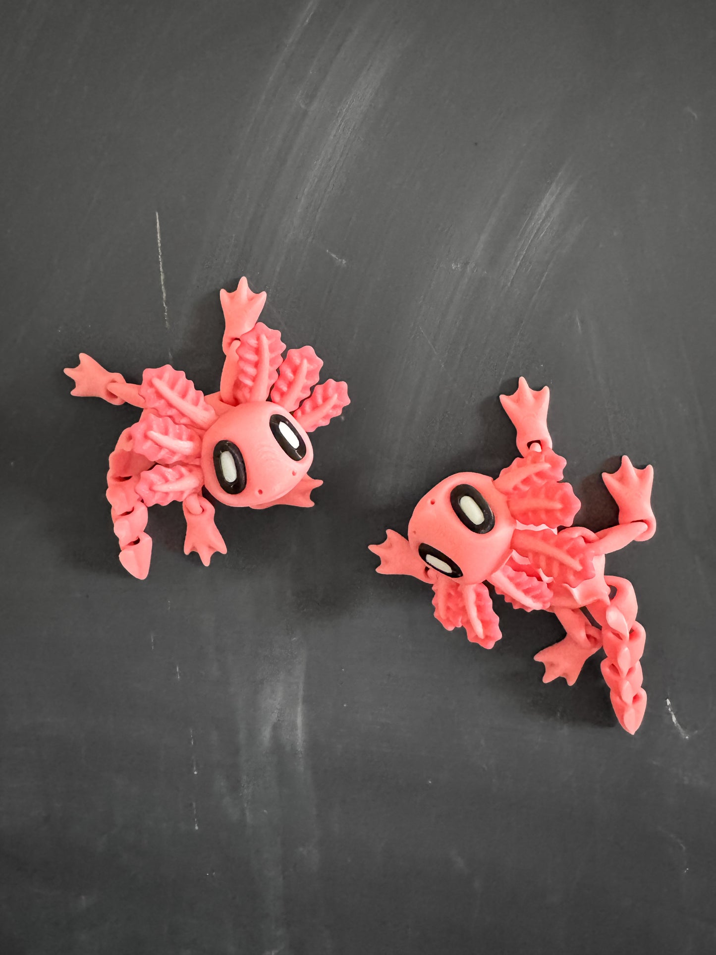 Algae the Axolotl