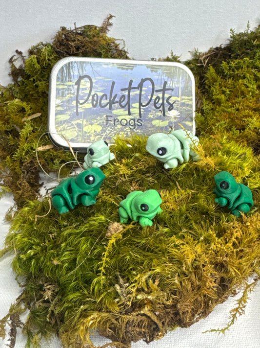 Frog Pocket Pet Set
