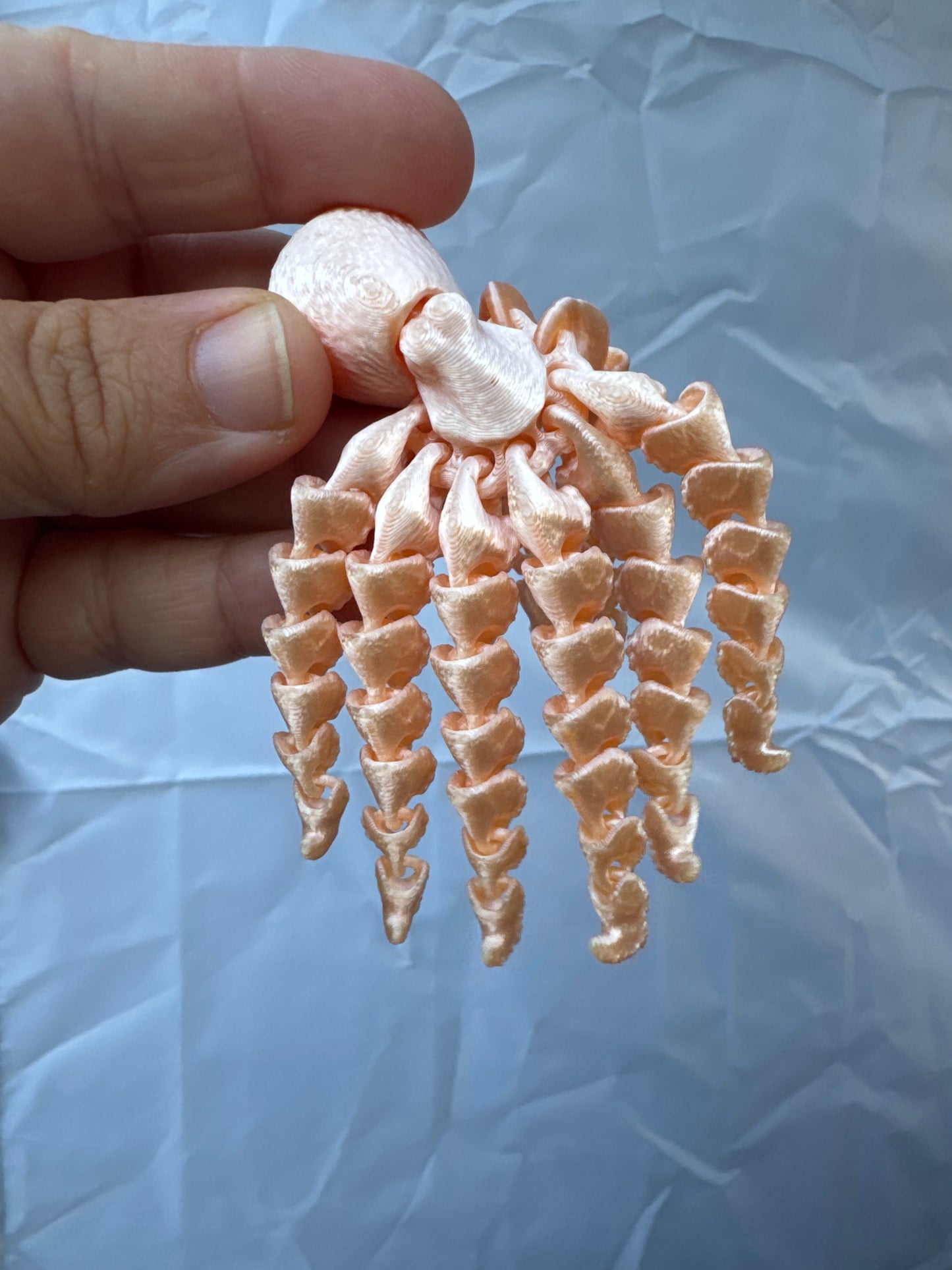 Octopus Baby