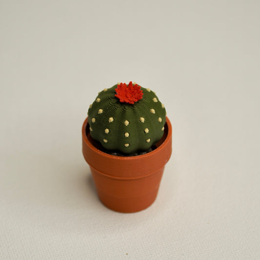 Cactus clicker