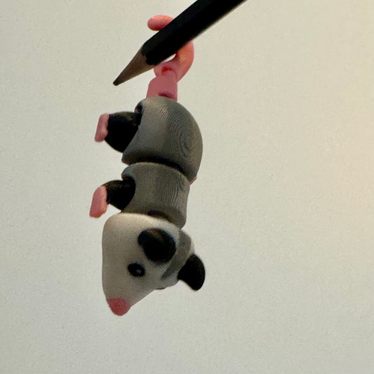 Opossum
