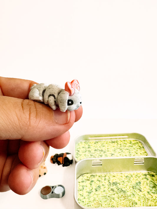 Pocket Pets - Furry Friends