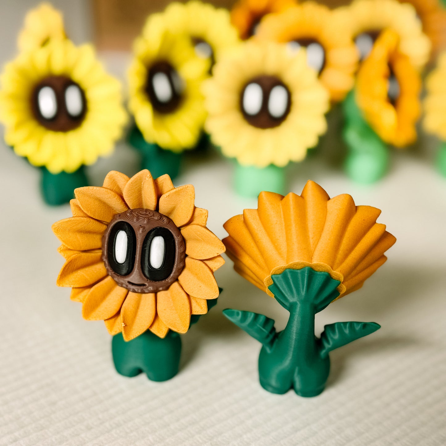Sunflower