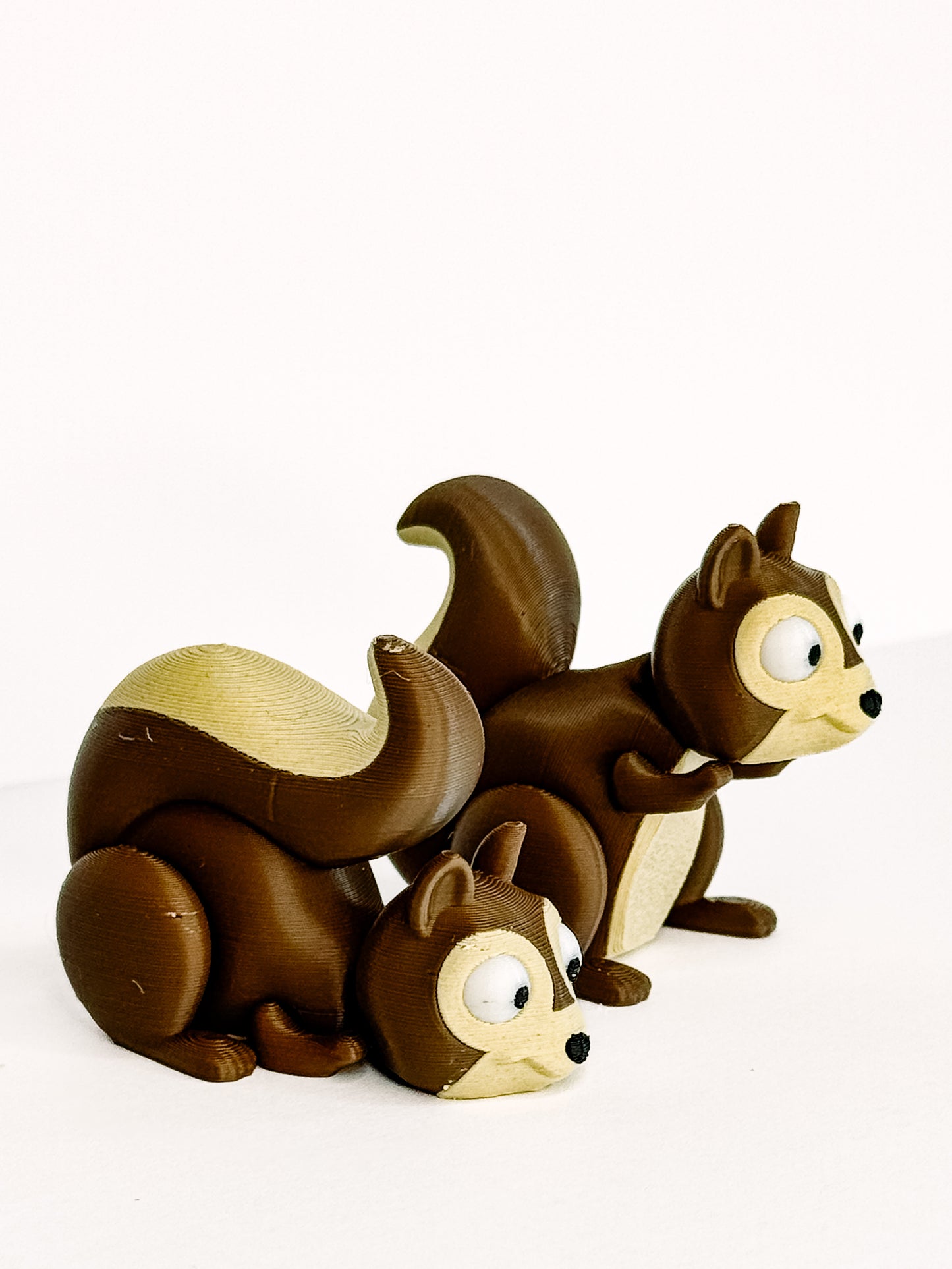 Squirrels