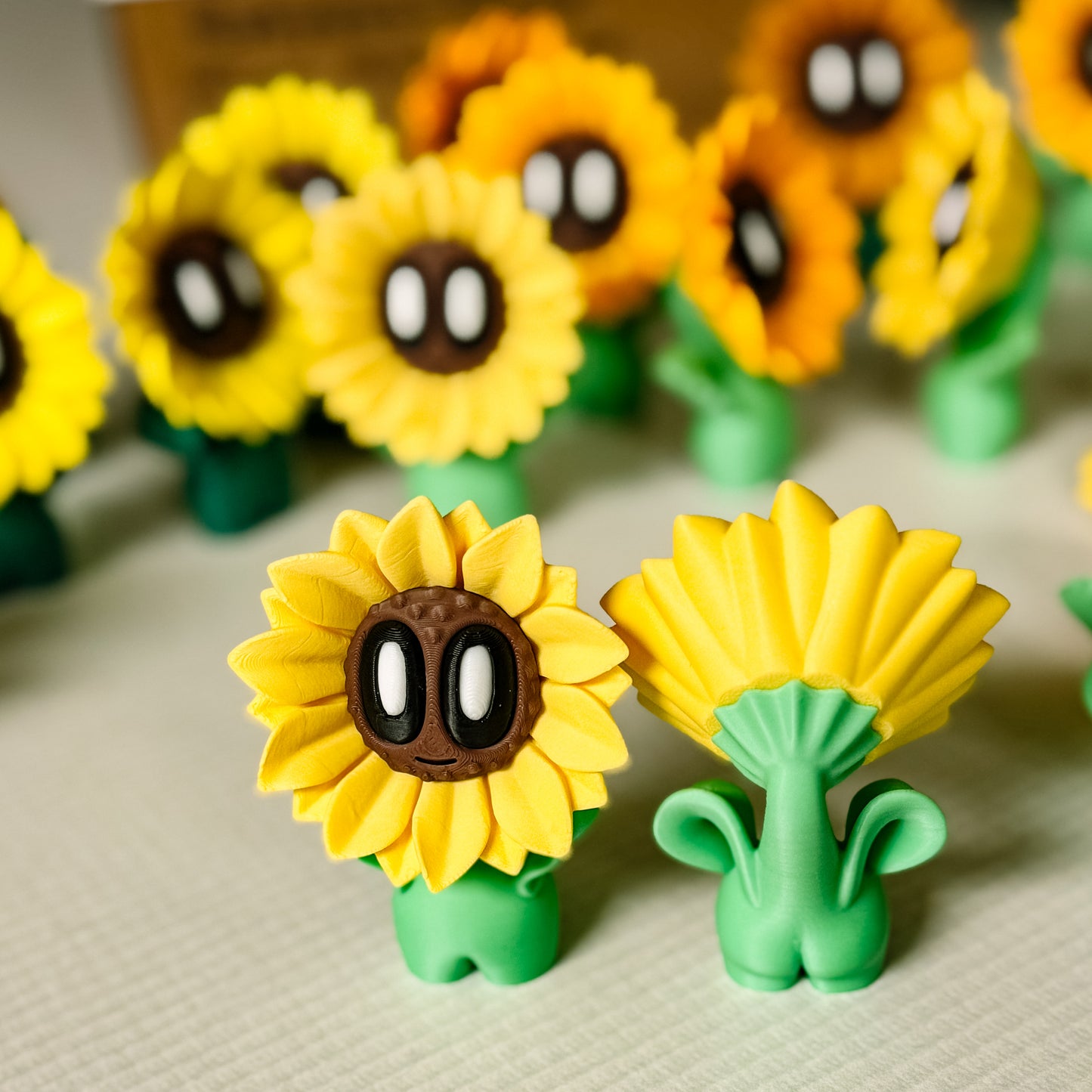 Sunflower