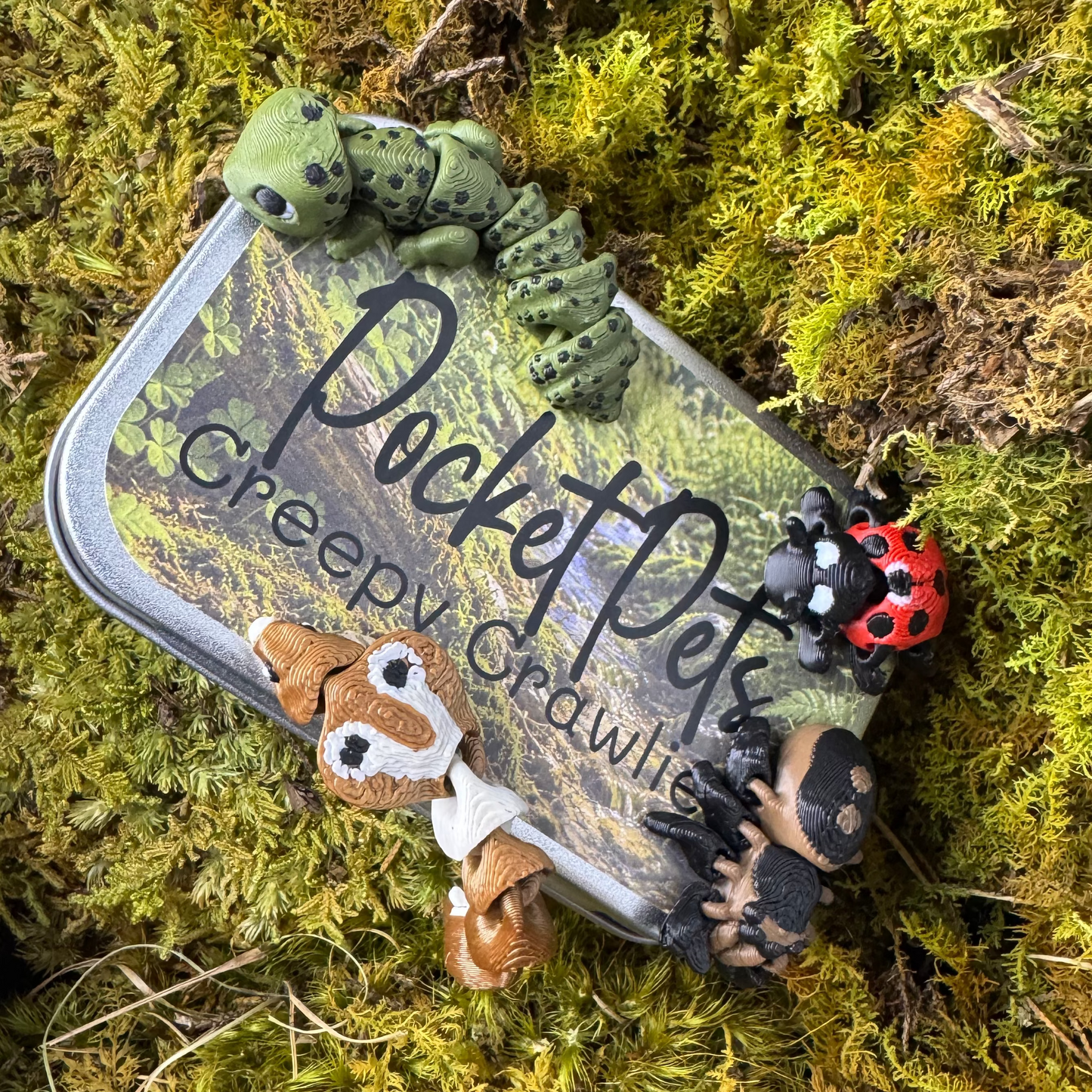 Creepy Crawlies Pocket Pet Set