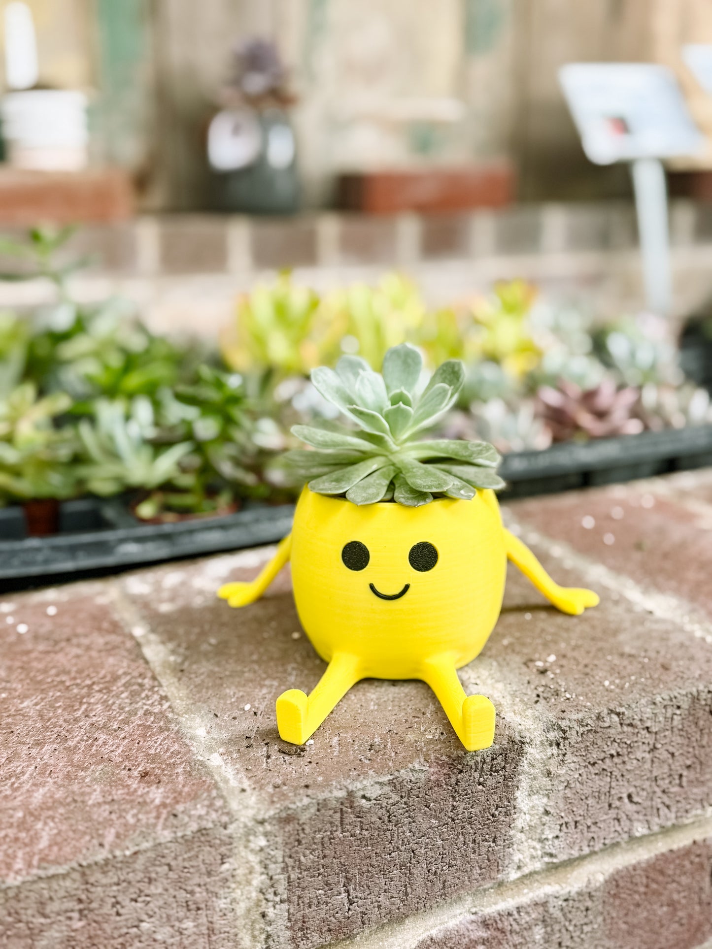 Happy Pot