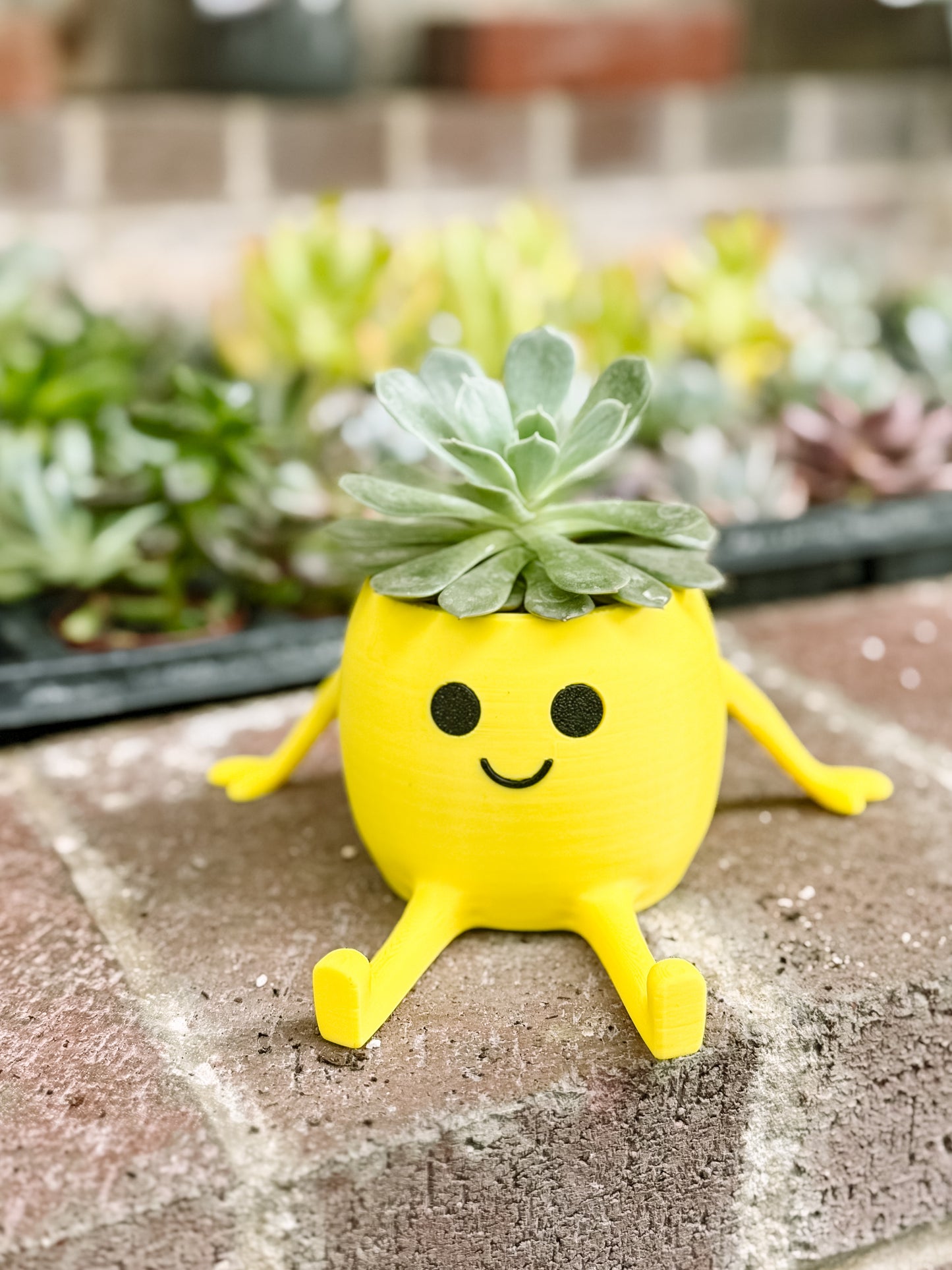Happy Pot