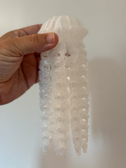 Jelly Fish