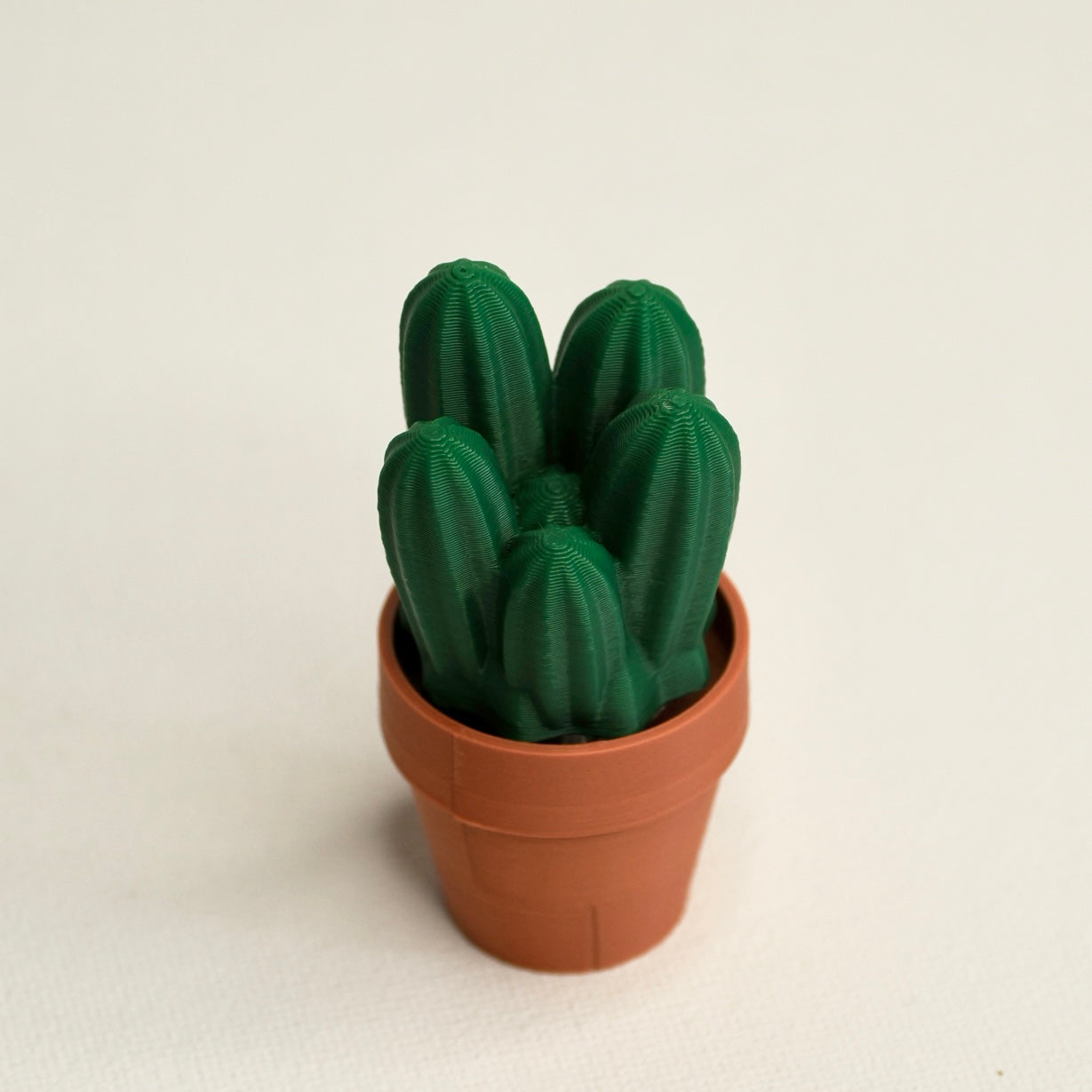 Cactus clicker