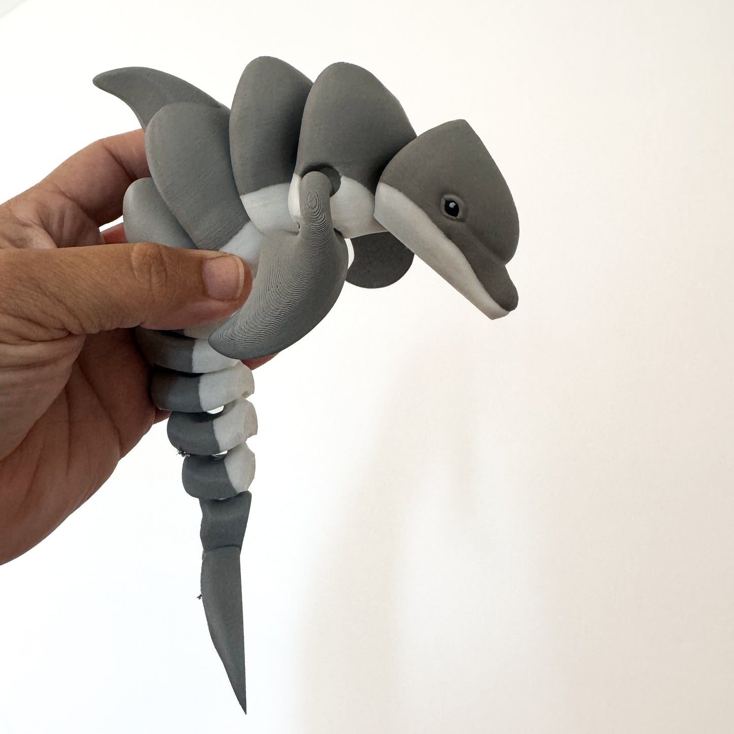 Dolphin