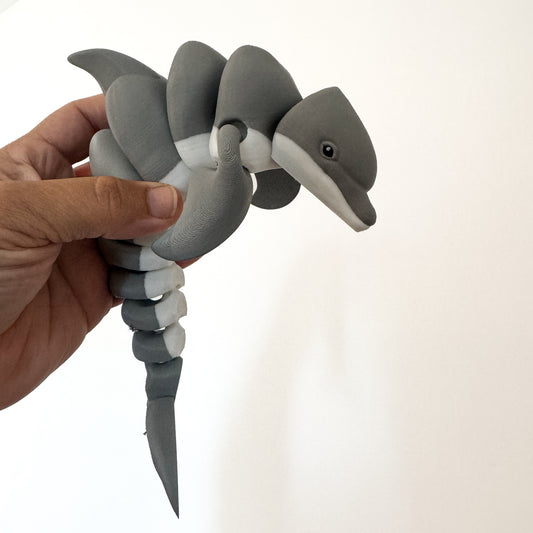 Dolphin