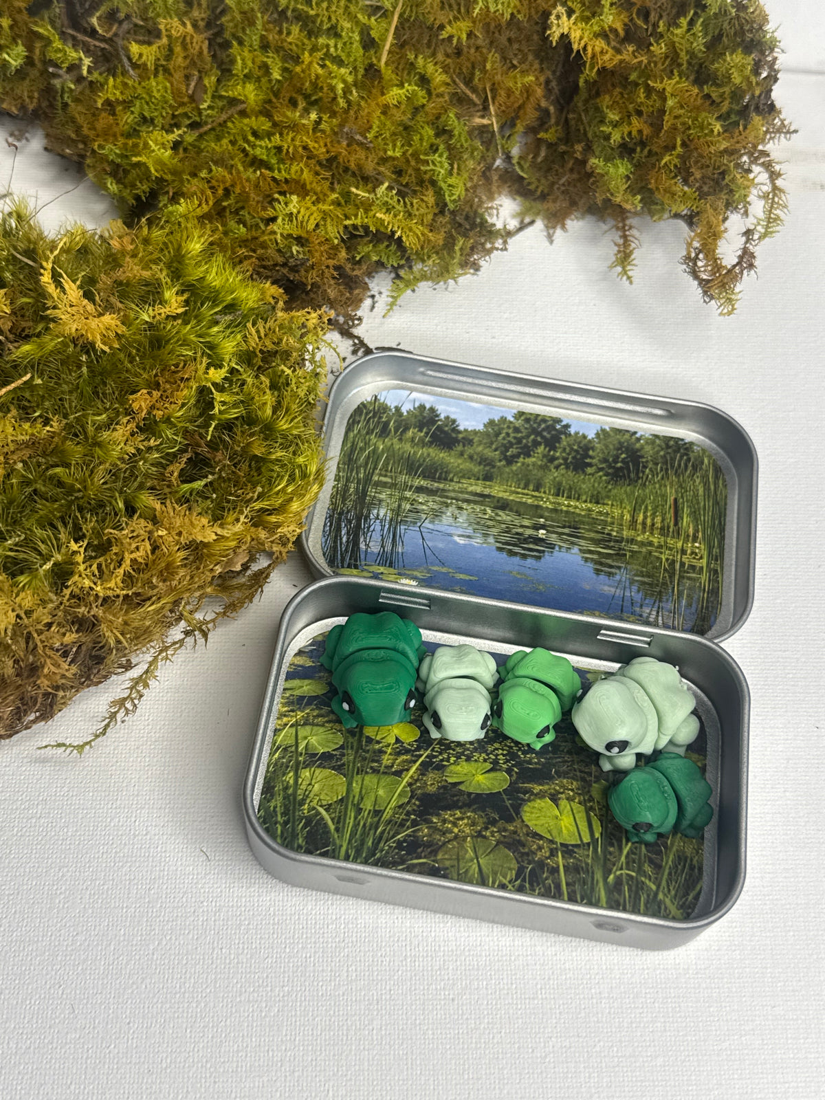 Frog Pocket Pet Set