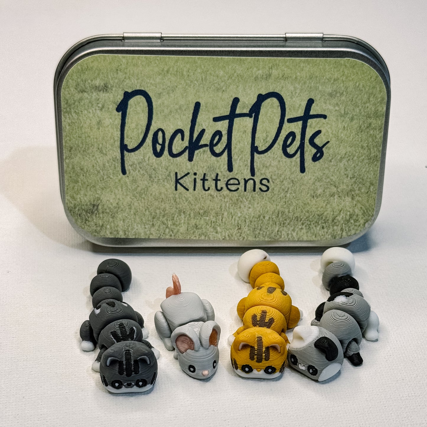 Pocket Pets - Kittens