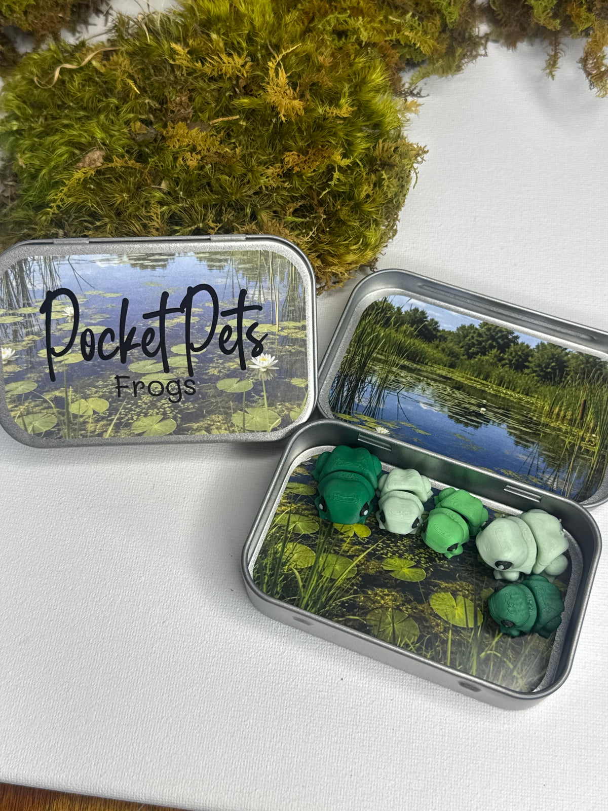 Frog Pocket Pet Set