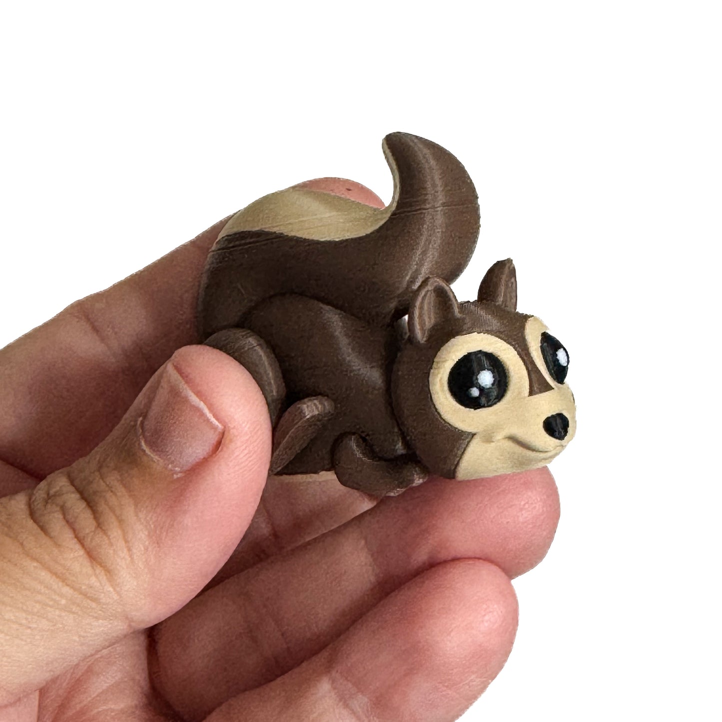 Squirrels