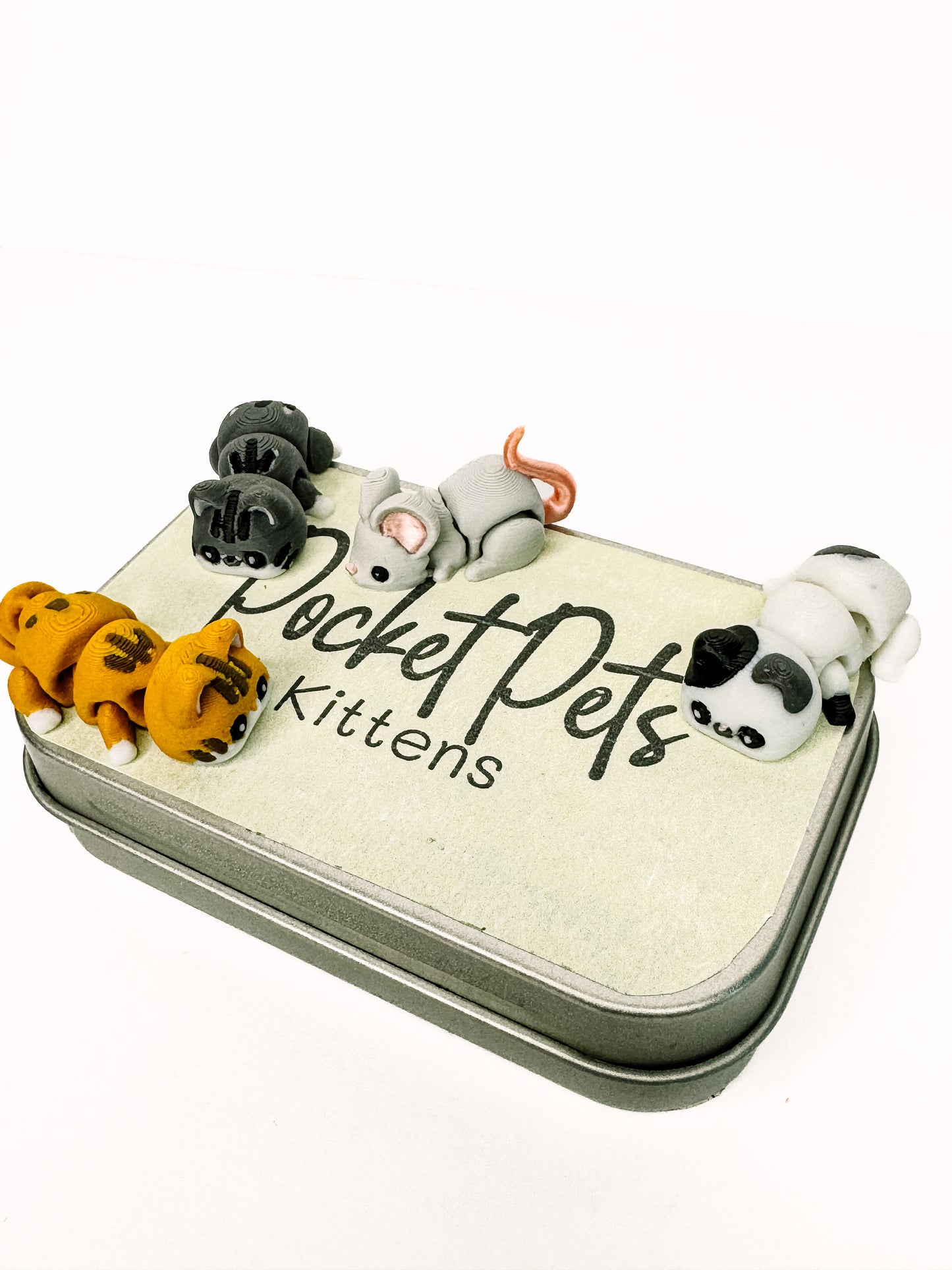 Pocket Pets - Kittens