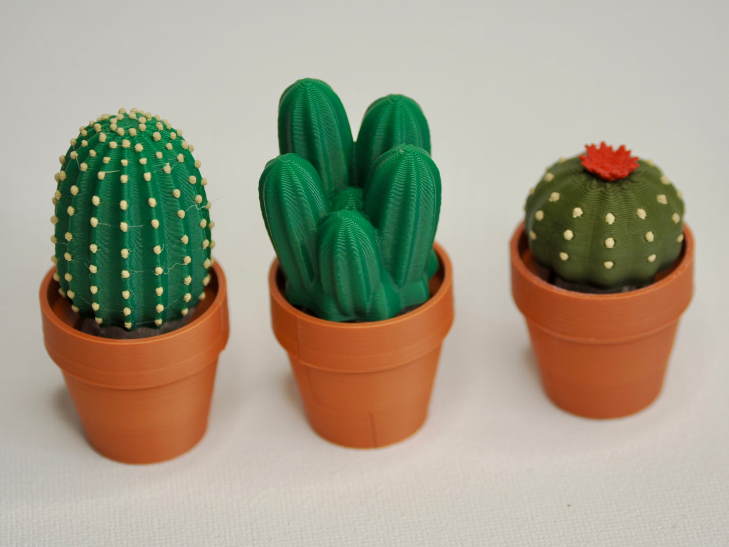 Cactus clicker