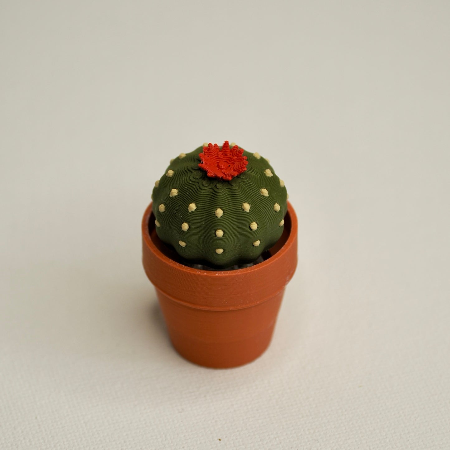 Cactus clicker