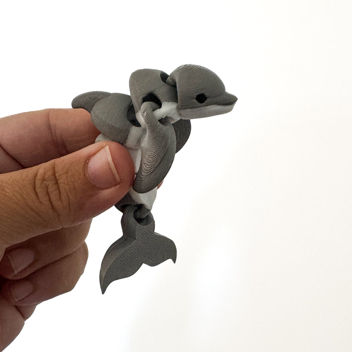 Dolphin