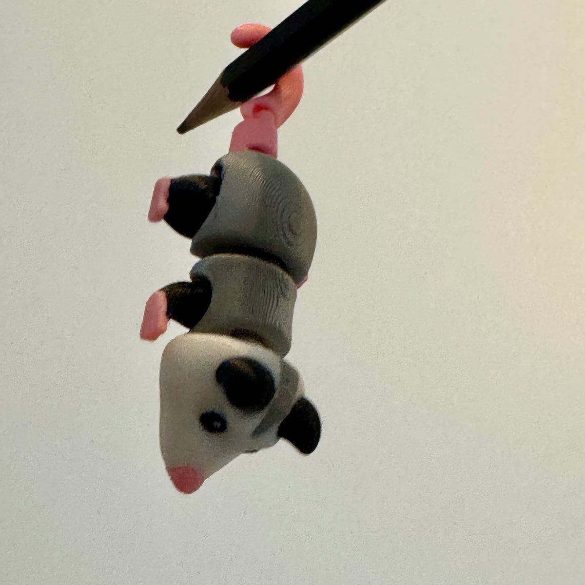 Opossum