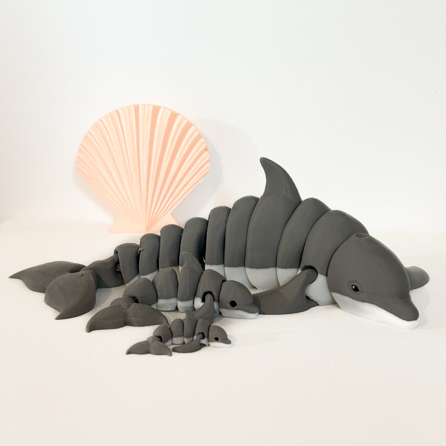Dolphin