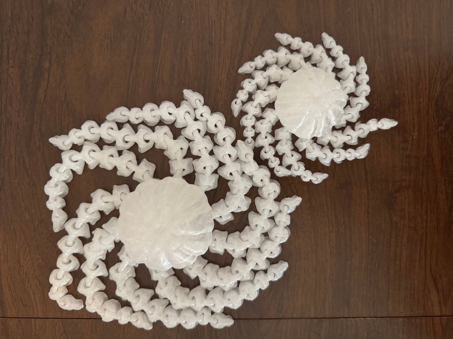 Jelly Fish