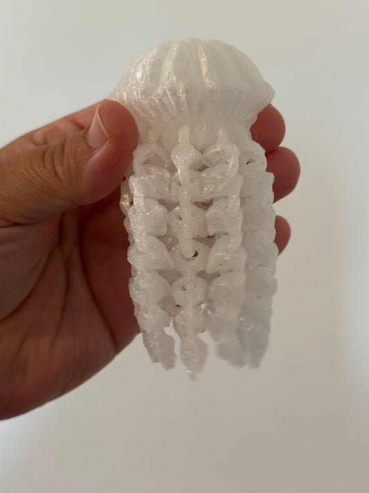 Jelly Fish