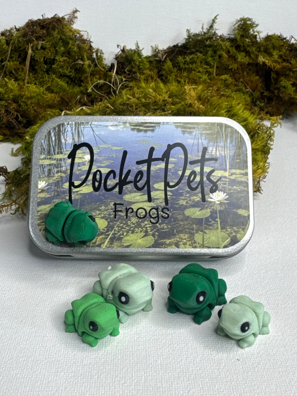 Frog Pocket Pet Set
