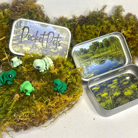 Frog Pocket Pet Set