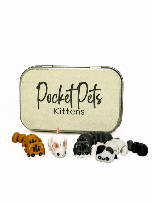 Pocket Pets - Kittens