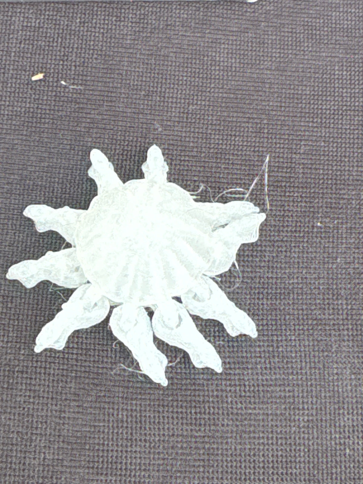 Micro Magnetic Flexi Animals