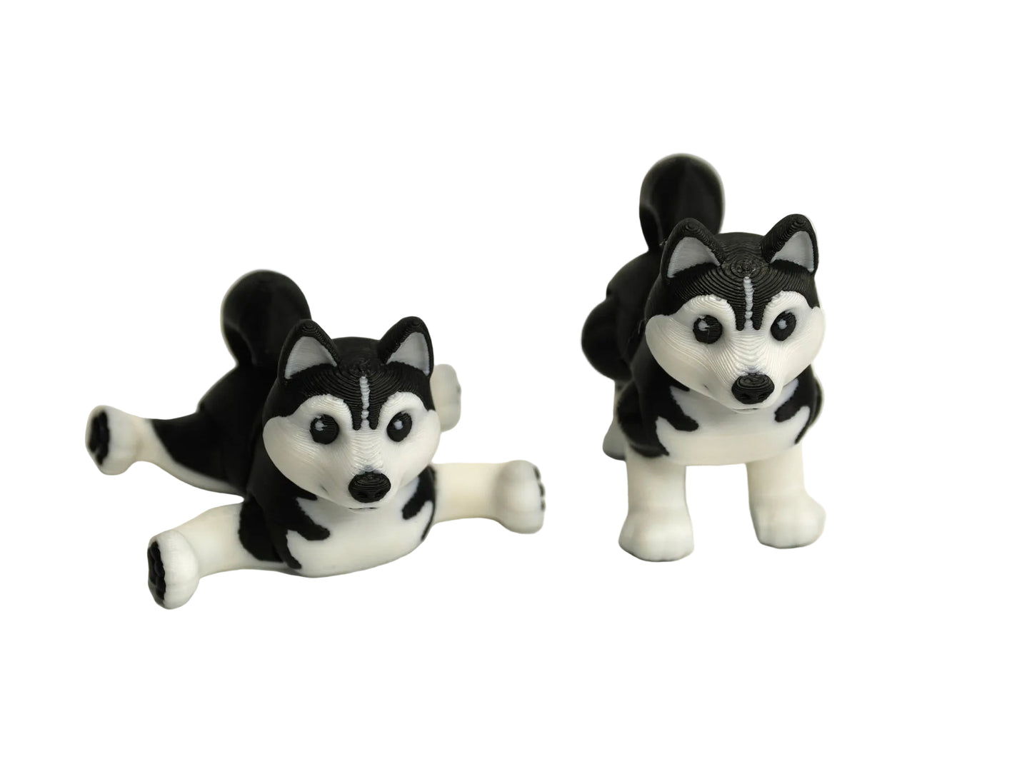Dogs