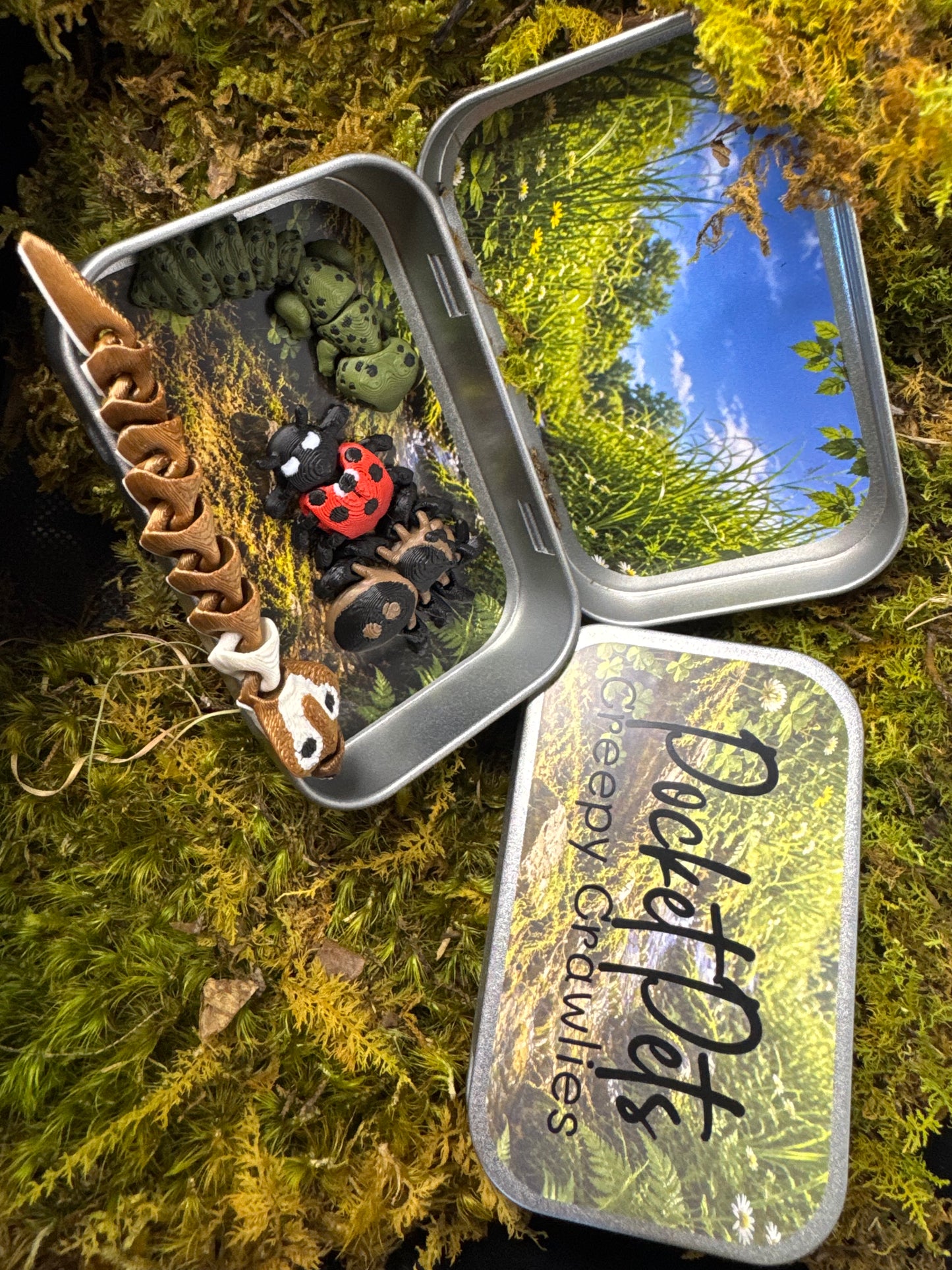 Creepy Crawlies Pocket Pet Set