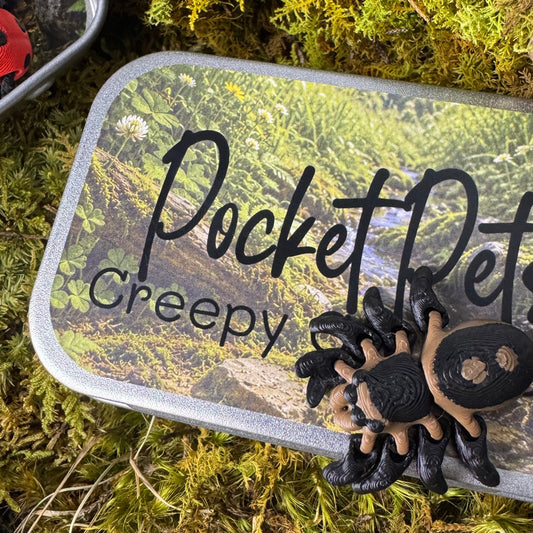 Creepy Crawlies Pocket Pet Set